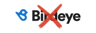 Birdeye (crossed out)
